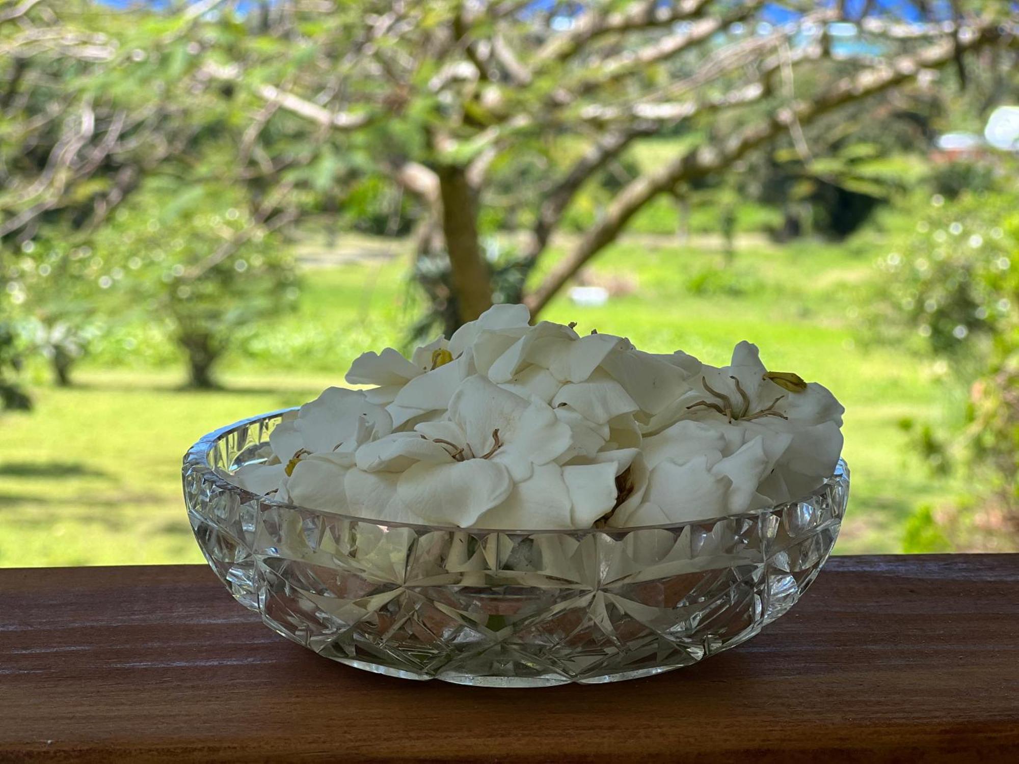 Avocado Retreat Villa Rarotonga Buitenkant foto